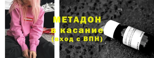 шишки Магас