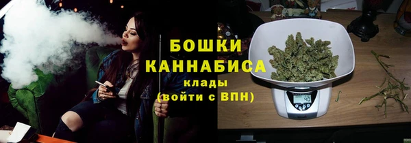 прущие грибы Майский