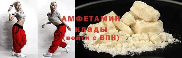шишки Магас