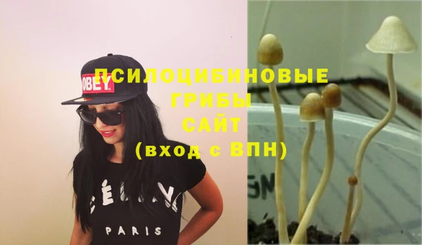 прущие грибы Майский