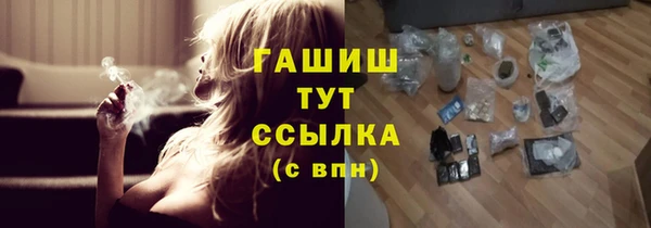 шишки Магас