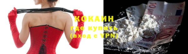 шишки Магас