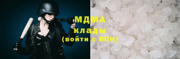 шишки Магас