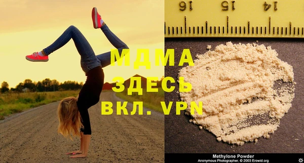 шишки Магас