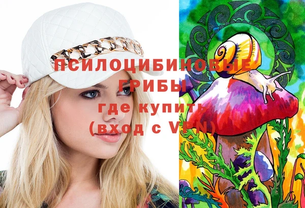 шишки Магас
