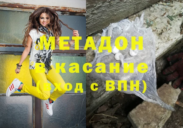 шишки Магас