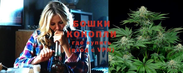 прущие грибы Майский