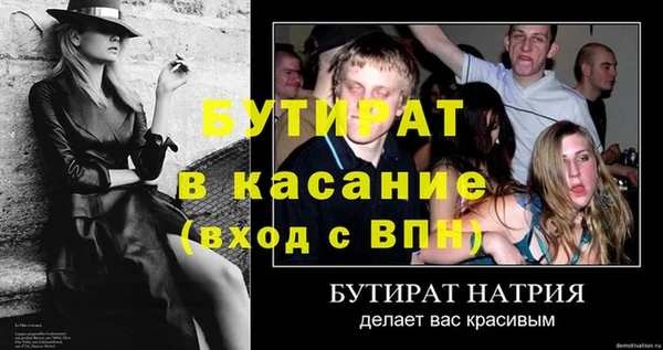 шишки Магас