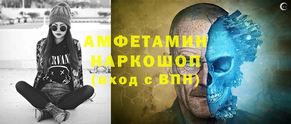 шишки Магас