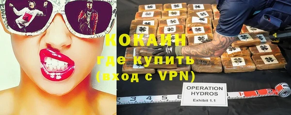 шишки Магас