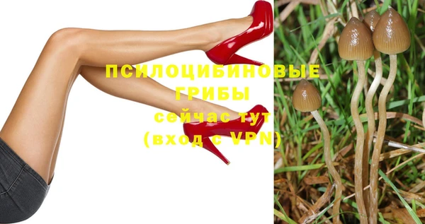 шишки Магас
