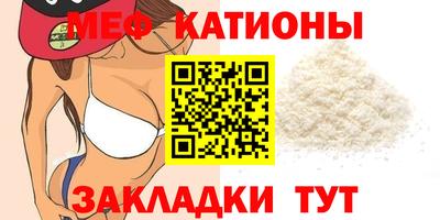 шишки Тара
