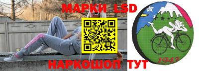 шишки Тара