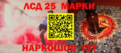 шишки Тара