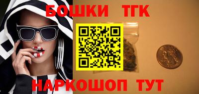 шишки Тара