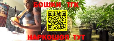 шишки Тара