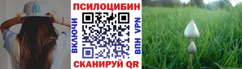 Псилоцибиновые грибы GOLDEN TEACHER  Курган 