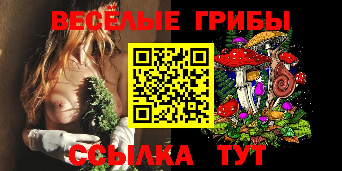 Курган  Псилоцибиновые грибы ЛСД  Галлюциногенные грибы MAGIC MUSHROOMS  Вход с VPN 