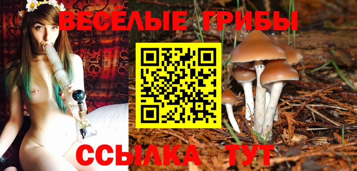 Псилоцибиновые грибы Magic Shrooms Курган